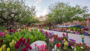 The Lodge at Ventana Canyon